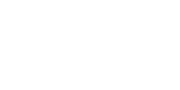 Boston Globe Logo