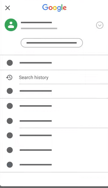 Search history on iPhone & iPad