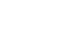 The Verge Logo