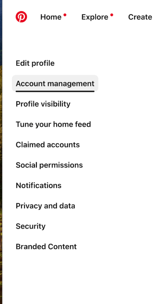 Pinterest menu - Account management option 