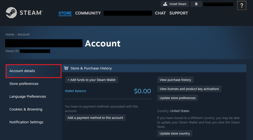 Steam account and "Account details" button