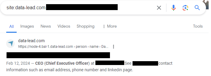 Data lead profile Google search