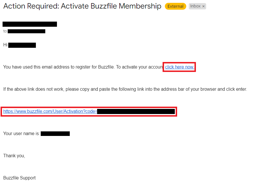 Buzzfile email