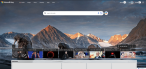 IS MICROSOFT BING SAFE TO USE visual data 2