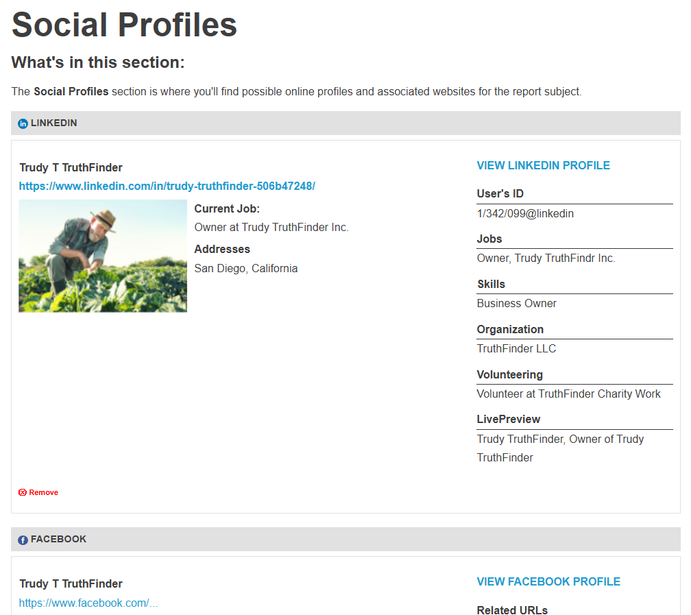 TruthFinder social profiles section in a report