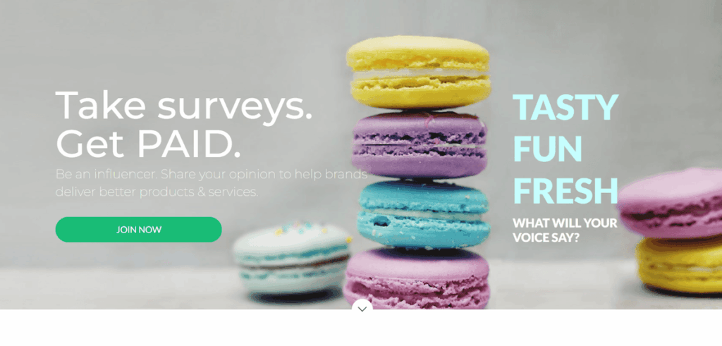 Survey Junkie