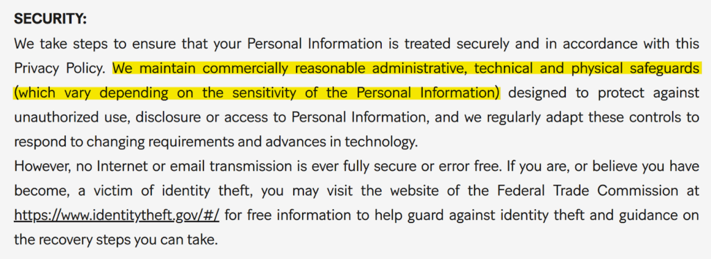 Money Lion privacy policy 'Security' section 