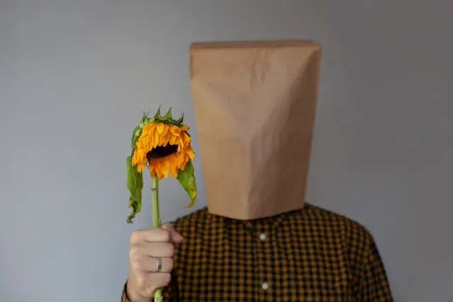 A person wearing a yellow and black checkered shirt stands against a grey wall with a brown paper bag covering their head, holding a wilting sunflower with a drooping head.