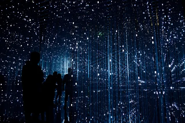 The dark silhouettes of a group of people standing in an immersive art installation. They are surrounded by countless vertical strings of glowing, blue-white LED lights that look like suspended stars or falling rain in a dark room.