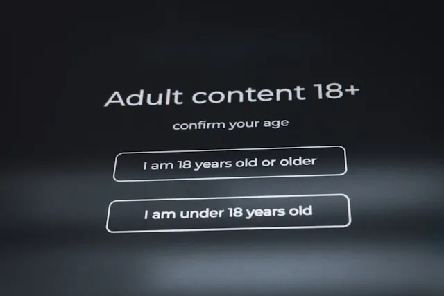 A dark digital screen displaying an age verification prompt. White text reads "Adult content 18+" and "confirm your age." Below the text are two outlined buttons: the top button says "I am 18 years old or older" and the bottom button says "I am under 18 years old."