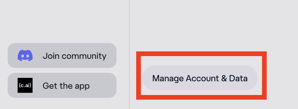 Character AI "Manage Account & Data" 