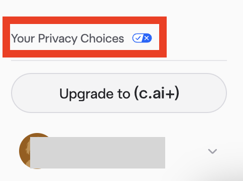 Character AI "Your Privacy Choices" link 