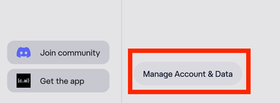 Character AI "Manage Account & Data" 