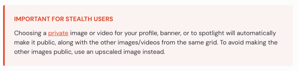 Midjourney Important for Stealth Users - choosing a private image or video for profile makes it public 