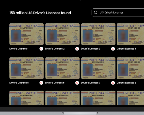 Multiple driver's licenses available for sale, depicting the recent IDScan breach investigation.